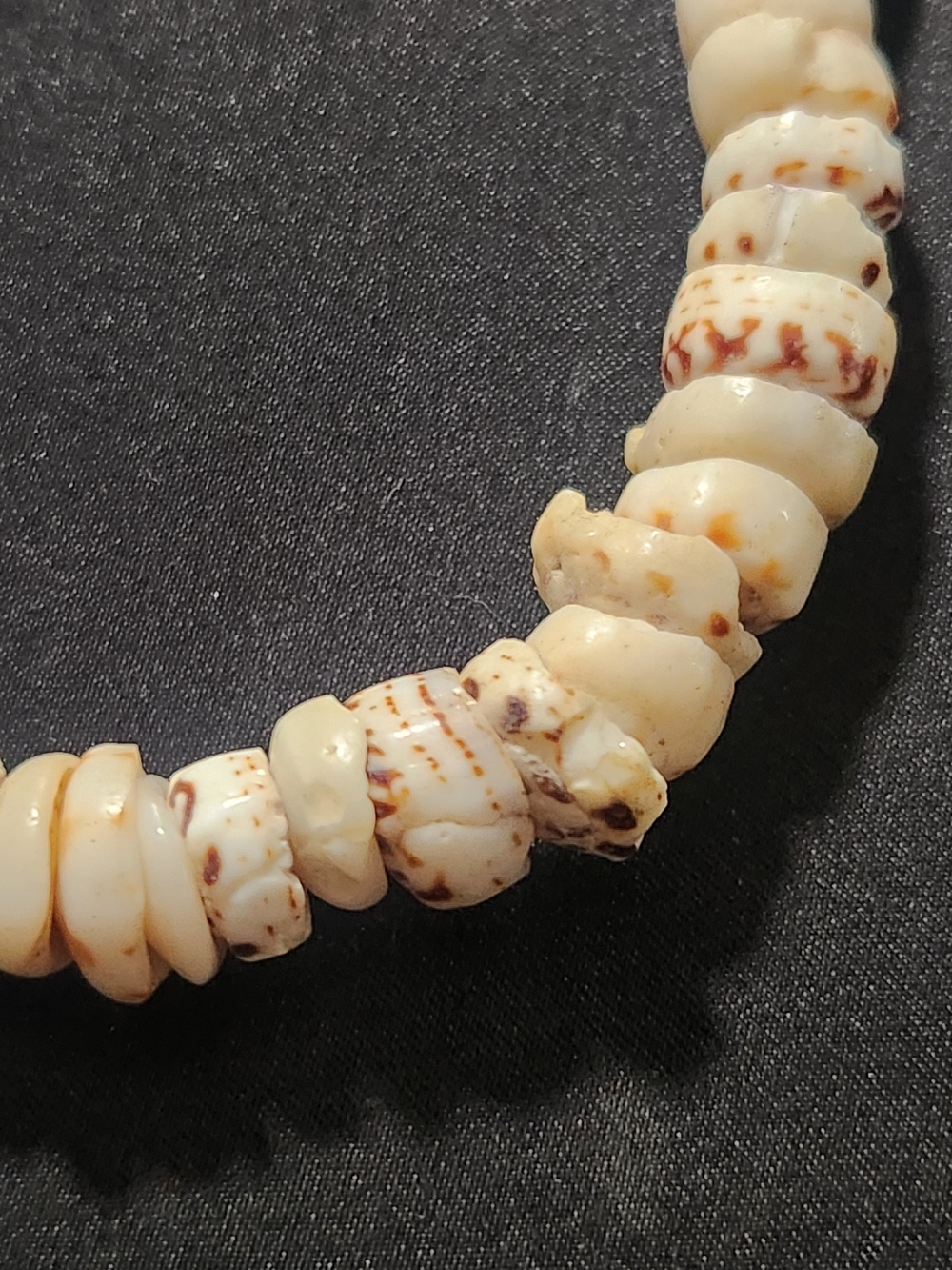 Vintage 1970s Authentic Tiger Puka Shell Choker Necklace - Picture 2 of 6